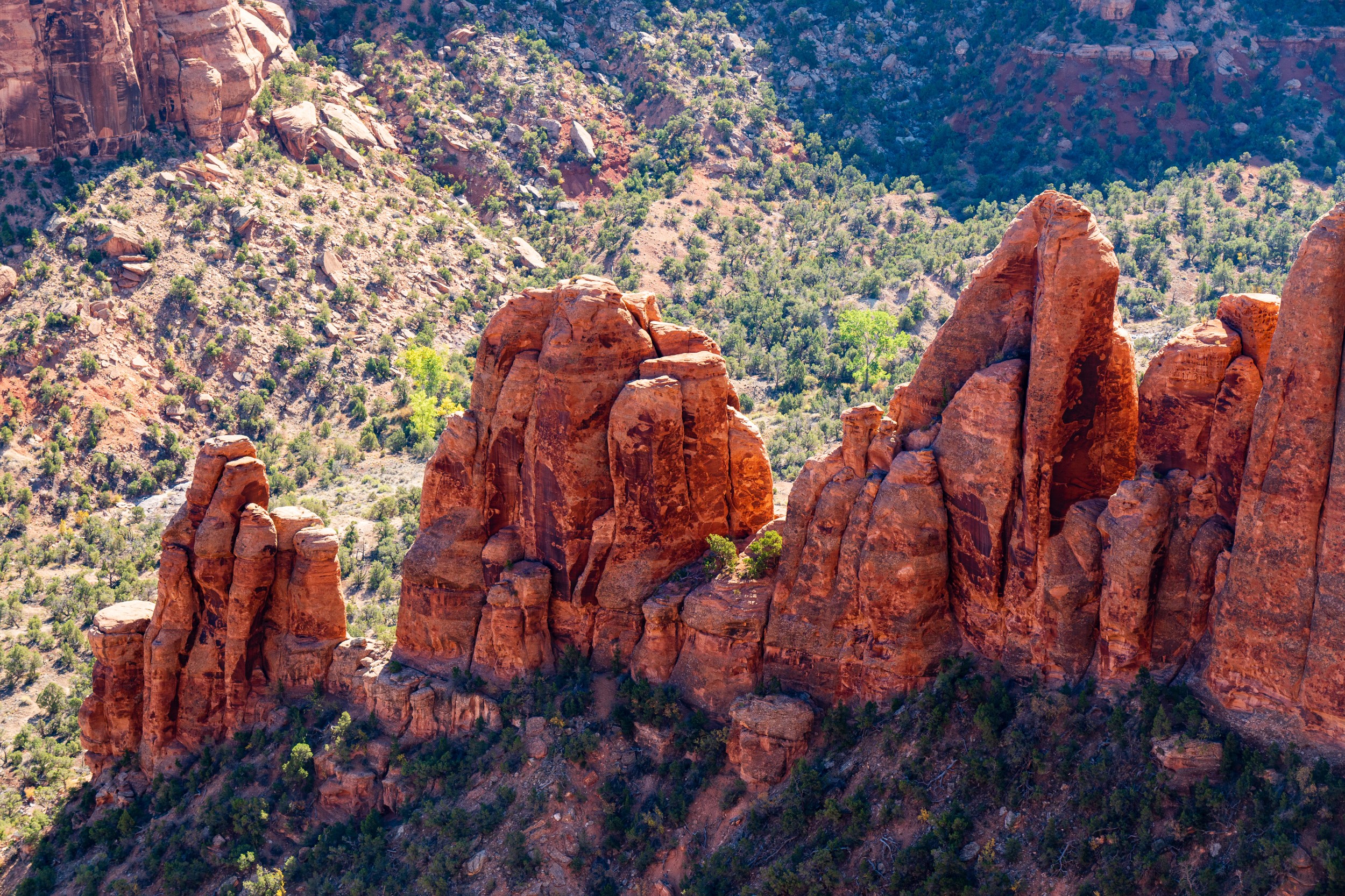 USA 2024 5 Sterne 132